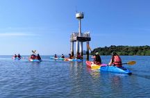 Sunset kayaking experience in Ao Thalane with BBQ dinner