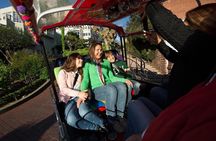 Private San Francisco City Tuk-Tuk Tour with Guide