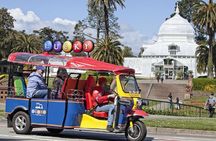 Private San Francisco City Tuk-Tuk Tour with Guide