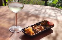 Ecological vineyard guided tour with wine tasting