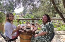 Ecological vineyard guided tour with wine tasting