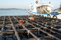 Rias Baixas tour from Santiago de Compostela