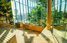 Therme București Spa skip-the-line entrance