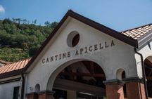 Tramonti wine tasting at Apicella winery