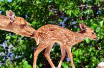 Terra Natura tickets
