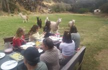Dinner experience with a local family in Arequipa