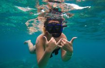 Sunrise Koh Phi Phi speedboat tour with Maya Bay and snorkeling