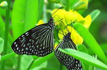 Private Konya, Butterfly Garden tour with Whirling Dervishes Show