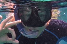 Tavolara protected area snorkeling experience from San Teodoro