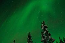 Northern Lights Hunting Tour