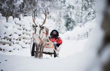 Husky Park and Reindeer Farm Combo by Minibus