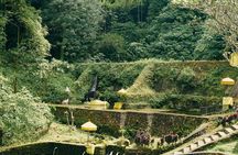 Temples Full-Day Tour with Holy Bathing Ritual from Bali