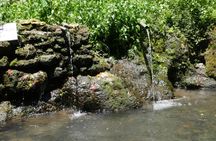 Temples Full-Day Tour with Holy Bathing Ritual from Bali