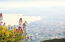 Vesuvius Easy Tour with Transfer from Naples