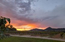 Alghero wine and food experience in a winery