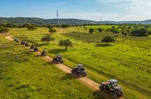 Full day guided buggy tour in Algarve