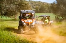 Full day guided buggy tour in Algarve
