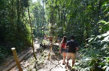 Day trip to Cheow Lan Lake in Khao Sok National Park from Krabi