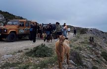 Secrets of the southern Crete safari tour