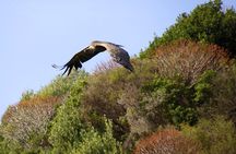 Alghero half-day off-road tour