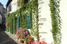 Wine road full-day tour to four quaint villages with wine tasting