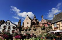 Half-day afternoon tour of Alsace villages and wine tasting