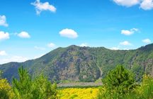 Vesuvius Easy Tour with Transfer from Naples