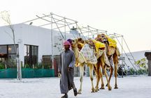 Monster bus tour in the desert with Al Majles Resort day pass