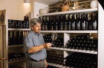 Guided winery tour and tasting in Olbia