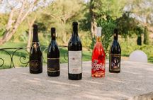Guided winery tour and tasting in Olbia