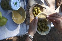 Extra virgin olive oil guided tasting in Valldemossa