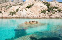 Half-day private boat trip to La Maddalena and Caprera from Cannigione