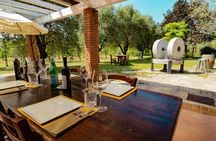 Aperitif at the oil mill with tasting of olive oil at Lake Garda