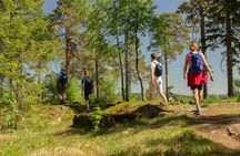 Oslo wildlife forest hiking tour