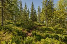 Admire scenic views of Oslo fjord during a walking tour