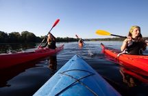 Newquay guided kayaking tour
