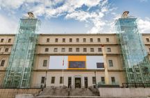 Reina Sofia Museum private tour with local guide