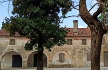 Villa Bogdano 1880 Guided Tour with Wine Tasting