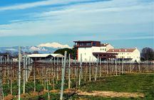 Villa Bogdano 1880 Guided Tour with Wine Tasting