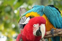 Central Florida Zoo, Botanical Gardens skip-the-line ticket