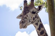 Central Florida Zoo, Botanical Gardens skip-the-line ticket