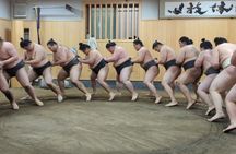 Morning sumo practice viewing with guide in Tokyo