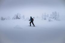 Snowshoeing Guided Tour