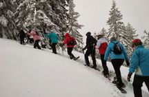 Snowshoeing Guided Tour