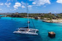 3-in-1 snorkeling trip with BlueFinn catamaran