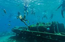 3-in-1 snorkeling trip with BlueFinn catamaran