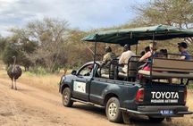 Bandia safari and Baobab adventure from Pointe Sarène