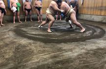 Sumo Morning Practice Tour in Tokyo