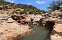 Half-day guided tour to berber Oasis with short trekking