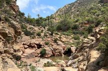 Half-day guided tour to berber Oasis with short trekking
